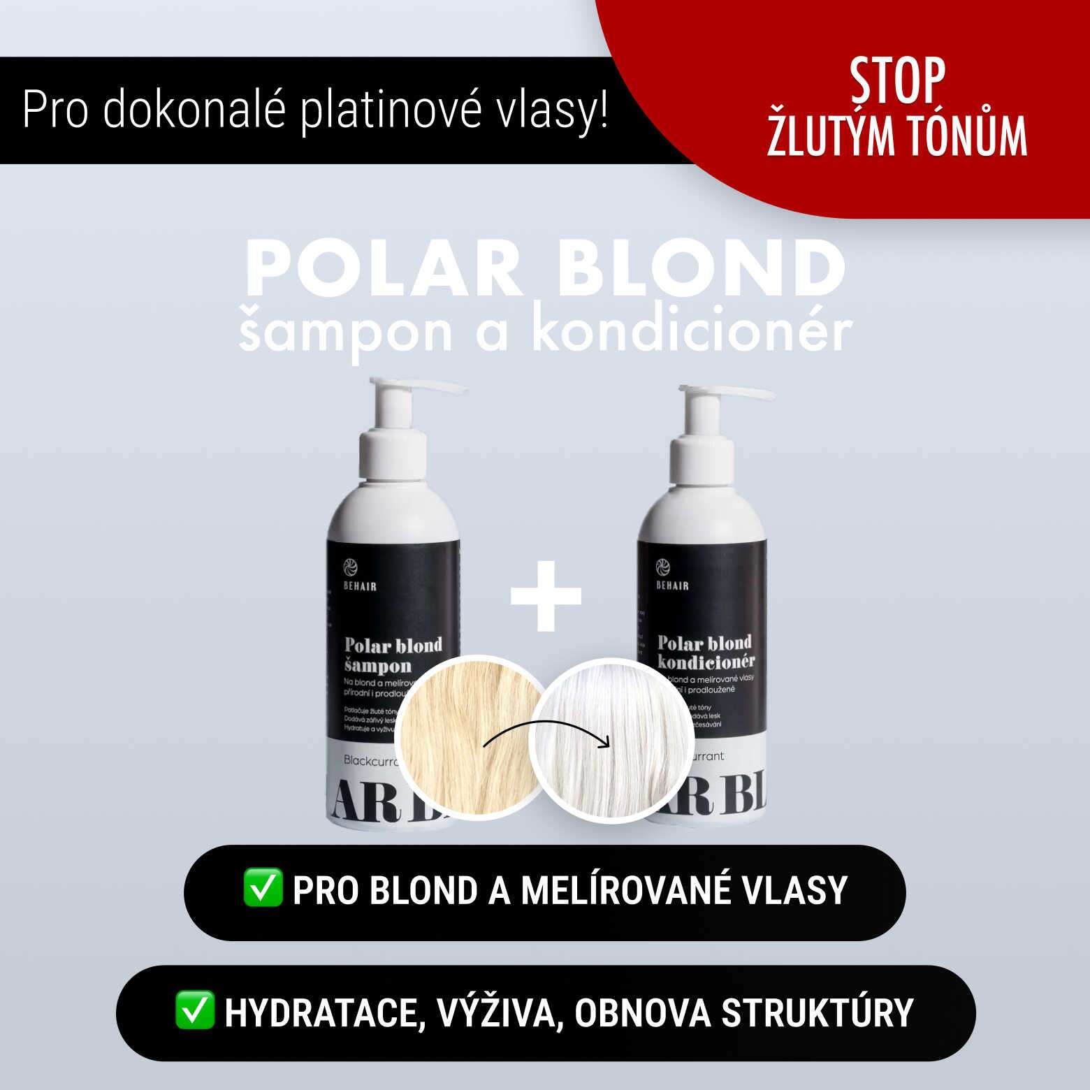 Polar Šampon